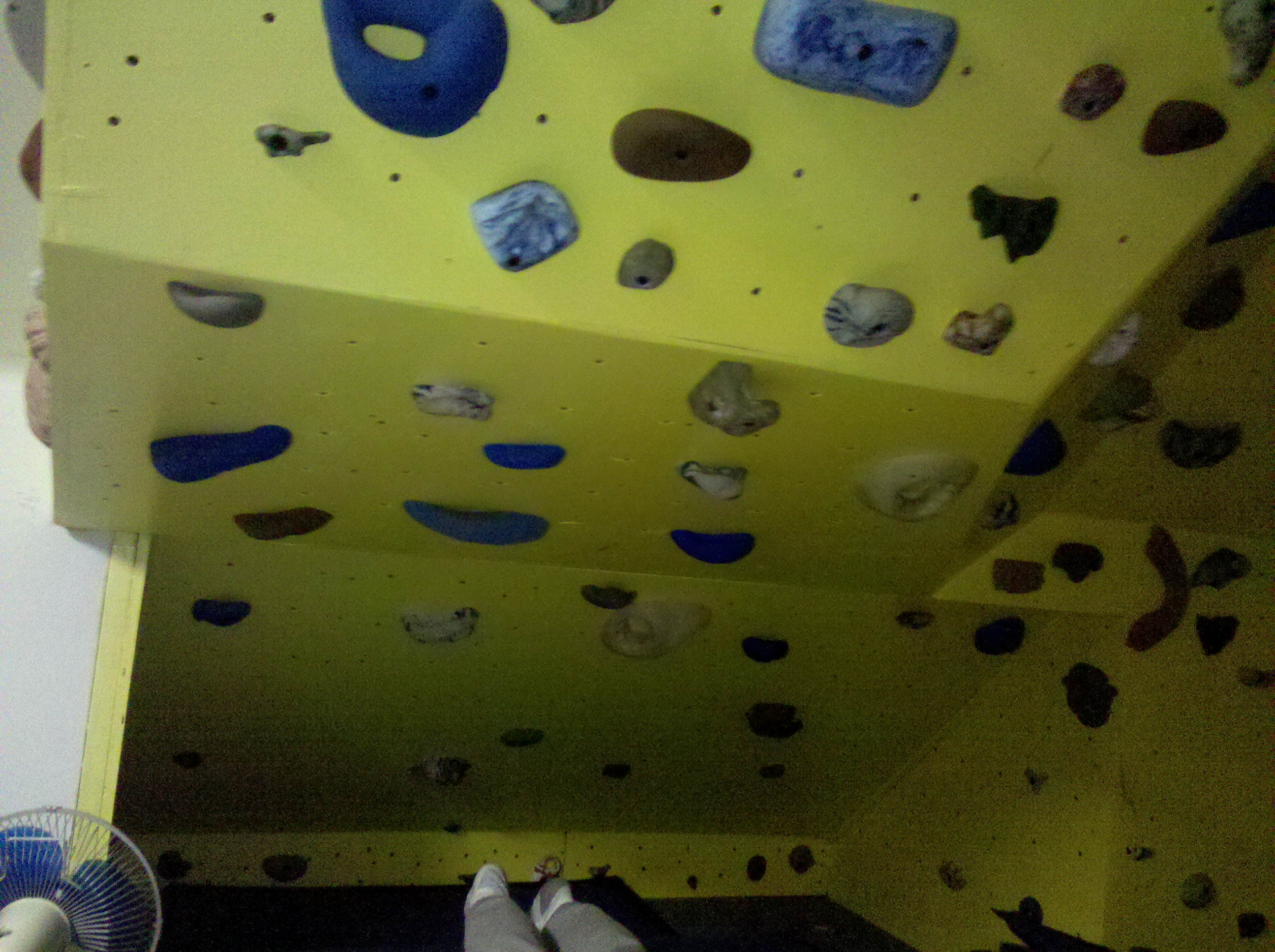 Image cannot be displayed